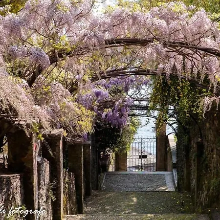 Nido Dei Gelsi Vicino Al Free Parking * Intra